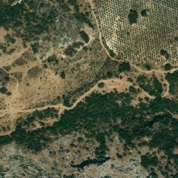 Satellite imagery of survey_point, DZ