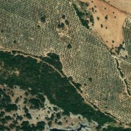 Satellite imagery of survey_point, DZ