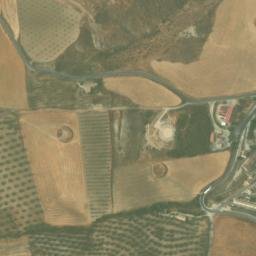 Satellite imagery of survey_point, DZ