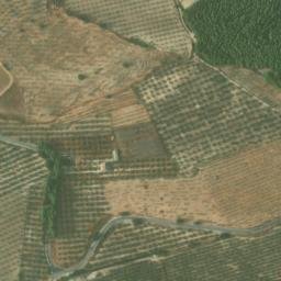 Satellite imagery of survey_point, DZ