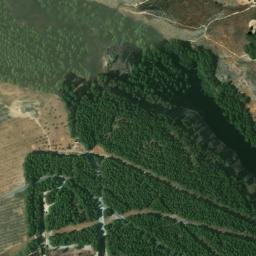 Satellite imagery of survey_point, DZ