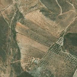 Satellite imagery of survey_point, DZ