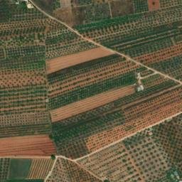 Satellite imagery of survey_point, DZ