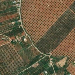 Satellite imagery of survey_point, DZ