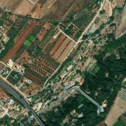 Satellite imagery of survey_point, DZ