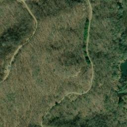 Satellite imagery of Fork Ridge, US