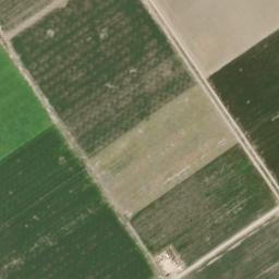 Satellite imagery of survey_point, DZ
