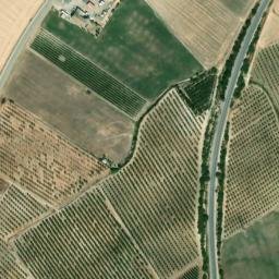 Satellite imagery of survey_point, DZ