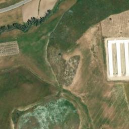 Satellite imagery of survey_point, DZ