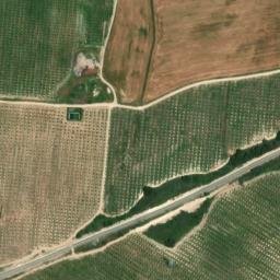 Satellite imagery of survey_point, DZ
