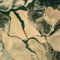Satellite imagery of survey_point, DZ
