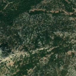 Satellite imagery of survey_point, DZ