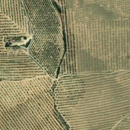 Satellite imagery of survey_point, DZ