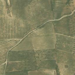 Satellite imagery of survey_point, DZ