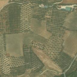 Satellite imagery of survey_point, DZ