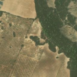 Satellite imagery of survey_point, DZ