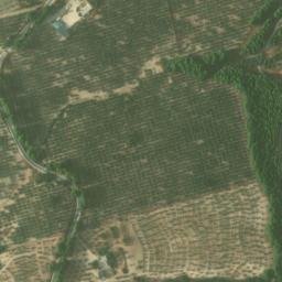 Satellite imagery of survey_point, DZ