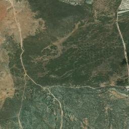 Satellite imagery of survey_point, DZ