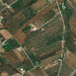 Satellite imagery of survey_point, DZ