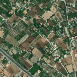 Satellite imagery of survey_point, DZ