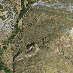 Satellite imagery of survey_point, DZ