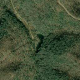 Satellite imagery of Fork Ridge, US