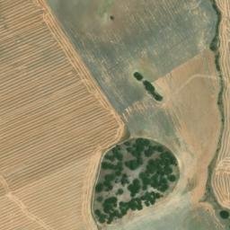 Satellite imagery of survey_point, DZ
