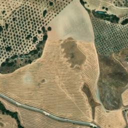 Satellite imagery of survey_point, DZ