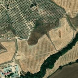Satellite imagery of survey_point, DZ