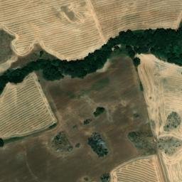 Satellite imagery of survey_point, DZ