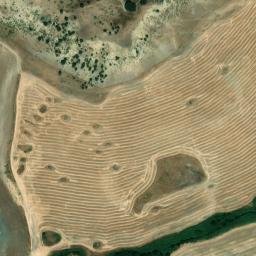 Satellite imagery of survey_point, DZ