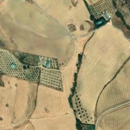 Satellite imagery of survey_point, DZ