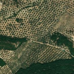 Satellite imagery of survey_point, DZ