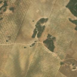 Satellite imagery of survey_point, DZ