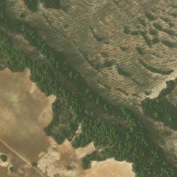 Satellite imagery of survey_point, DZ