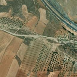 Satellite imagery of survey_point, DZ