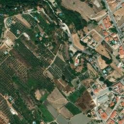 Satellite imagery of survey_point, DZ