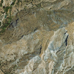 Satellite imagery of survey_point, DZ
