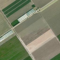 Satellite imagery of survey_point, DZ