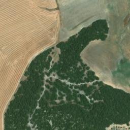 Satellite imagery of survey_point, DZ