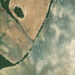 Satellite imagery of survey_point, DZ