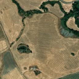 Satellite imagery of survey_point, DZ