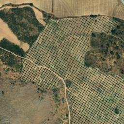 Satellite imagery of survey_point, DZ