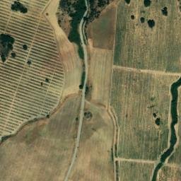 Satellite imagery of survey_point, DZ