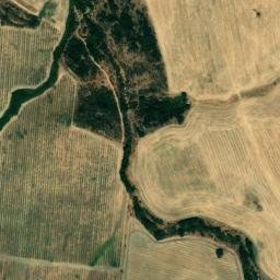 Satellite imagery of survey_point, DZ
