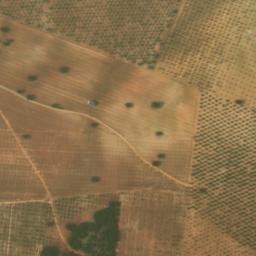 Satellite imagery of survey_point, DZ