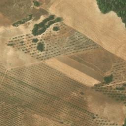 Satellite imagery of survey_point, DZ