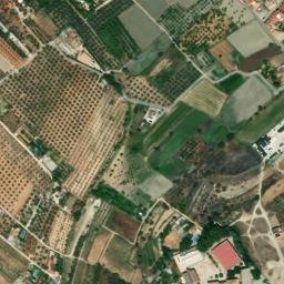 Satellite imagery of survey_point, DZ