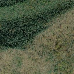 Satellite imagery of Grape Ridge, US