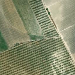 Satellite imagery of survey_point, DZ